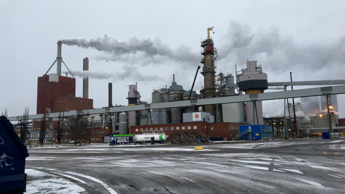 Stora Enso Inaugurates Its Renewed Containerboard Mill In Oulu Finland 