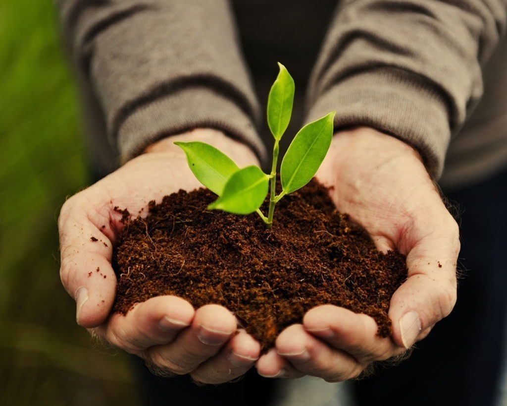 J&J Green Paper Inc. Secures Global Agreements to Revolutionize Paper