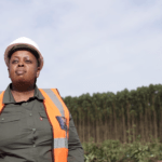 She Is Forestry SA: celebrating female forestry value chain role models this Women’s Month