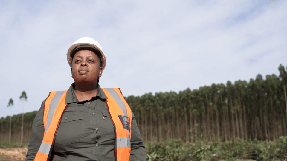 She Is Forestry SA: celebrating female forestry value chain role models this Women’s Month