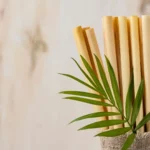 Compostable Straws Market: An Eco-Friendly Investment Opportunity on the Rise”