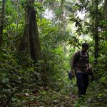 Suzano Pulp to acquire 70,000 hectares of land in Mato Grosso do Sul.