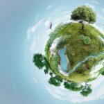 The Council presents its to-do list for Europe’s competitiveness, making bioeconomy a priority for the next Commission