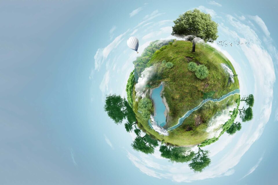 The Council presents its to-do list for Europe’s competitiveness, making bioeconomy a priority for the next Commission