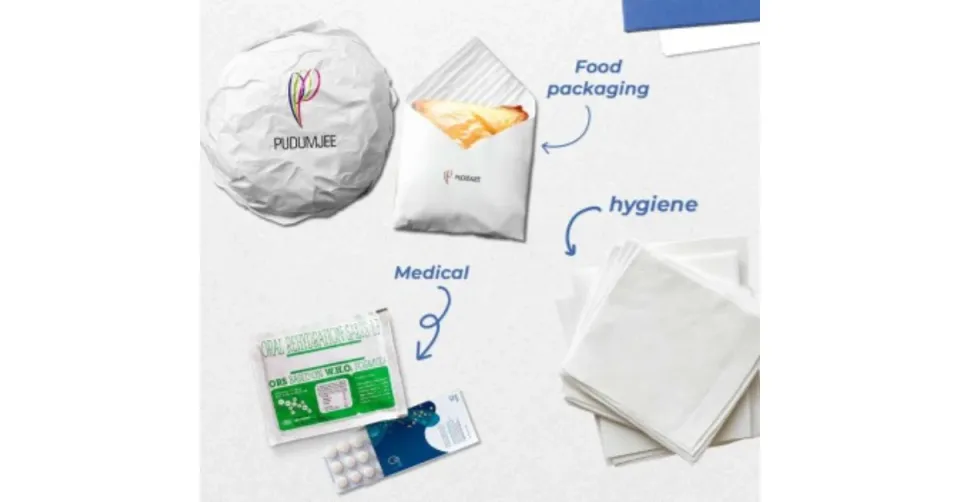 Pudumjee Paper Products