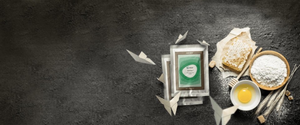 Amcor’s AmFiber™ Performance Paper proves recyclability in Brazil