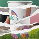sustainable paperboard