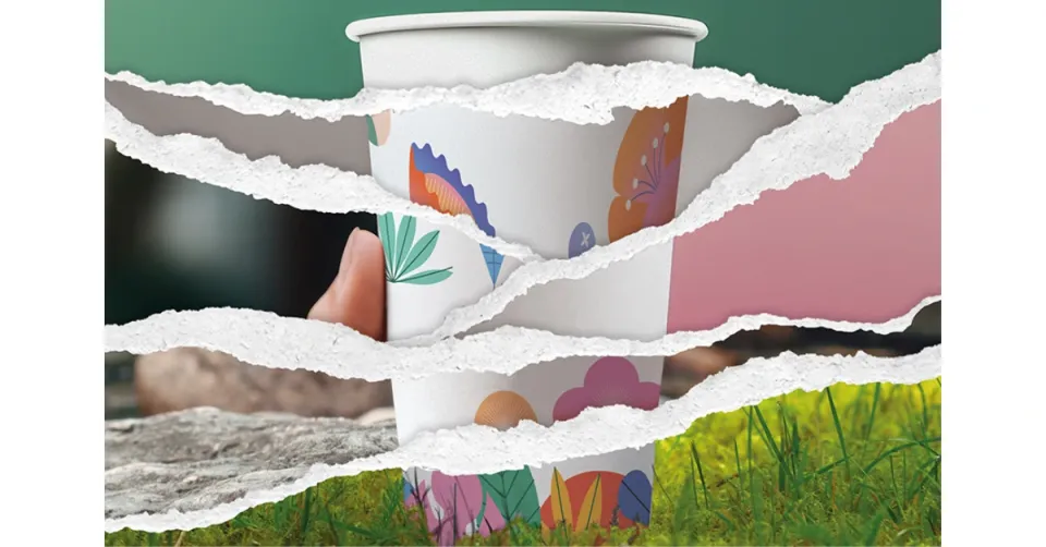 sustainable paperboard