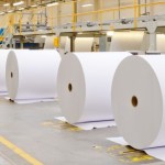 Amlai Plant
