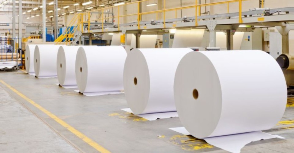 Amlai Plant