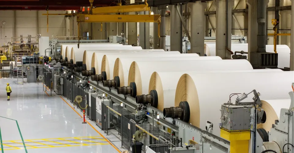 Largest Renewable Packaging