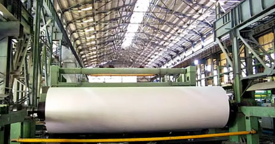 Mysore Paper Mills revival