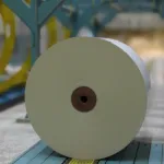 Twin Rivers Paper