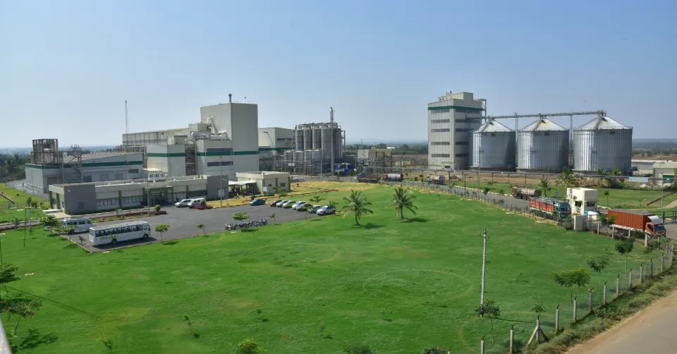 Riddhi Siddhi Gluco Biols